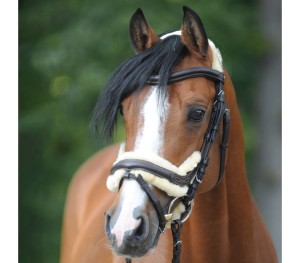 Ogłowie "Ivy Lambskin" 