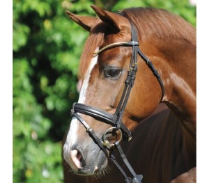 Ogłowie  KAVALKADE Clinchesse