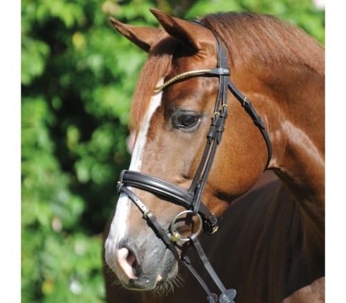 Ogłowie  KAVALKADE Clinchesse