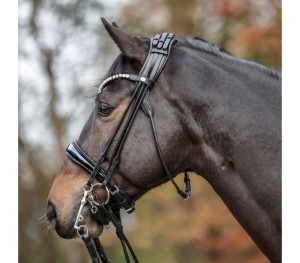 Oglowie podwójne „Fleur”