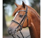 Ogłowie podwójne „Antonia”