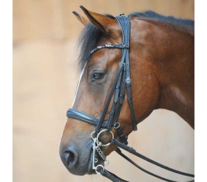 Ogłowie kombinowane podwójne "Ivonne"