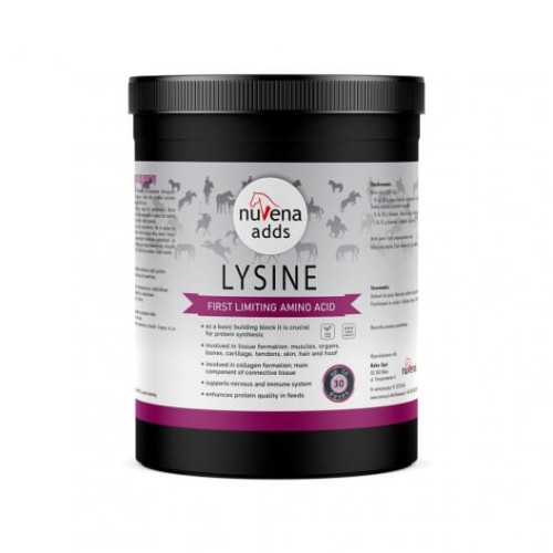 NuVena Lysine 600g lizyna dla koni 