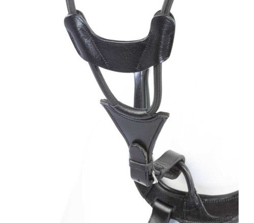  Widelec Martingale