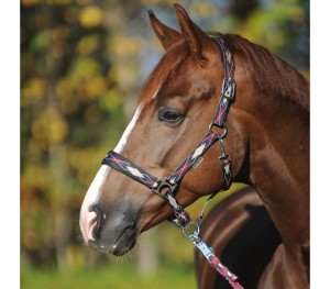 Kantar "Classic Raute"