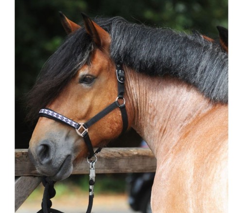 Kantar dla koni zimnokrwistych "Draft Horse-Classic"