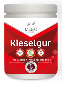 MEBIO Kieselgur MSM + WITAMINA C 1kg trójfazowe wsparcie aparatu ruchu