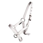 Kantar źrebięcy BASIS