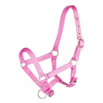 Kantar źrebięcy HORKA BASIS 