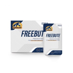 FreeBute Box - wsparcie mięśni i stawów