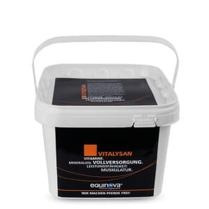 EQUINOVA Vitalysan 10kg - witaminy i minerały