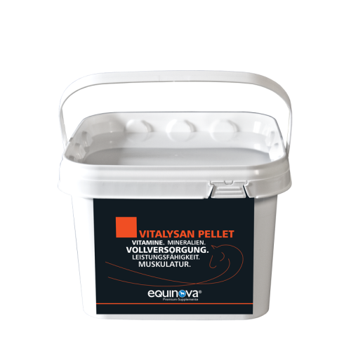 EQUINOVA Vitalysan Pallet 10kg - mieszanka witminowa