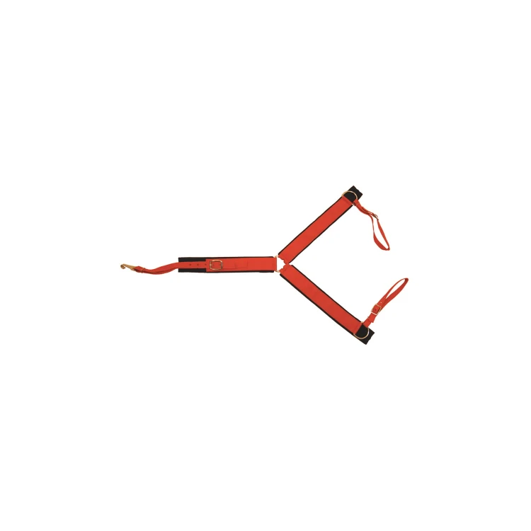 6.jpeg