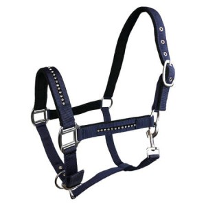 Kantar dla konia York Quartz