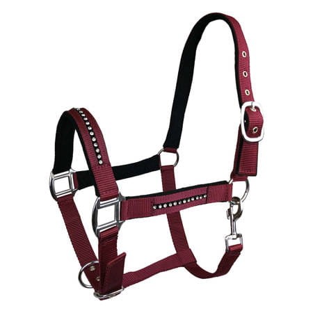 Kantar dla konia York Quartz