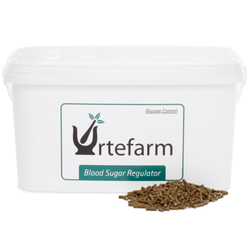  Urtefarm Blood Sugar Regulator 3kg Ziołowy regulator cukru
