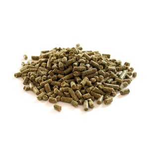 FITMIN HORSE Junior 25kg granulat dla klaczy i źrebiąt