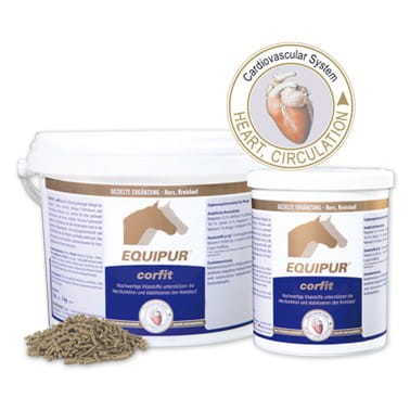 Komposing-Equipur-corfit-2019.jpg