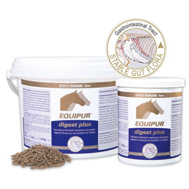 Komposing-Equipur-digest-plus-2019.jpg