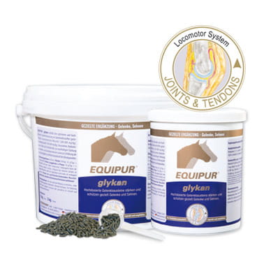 Komposing-Equipur-glykan-2019.jpg