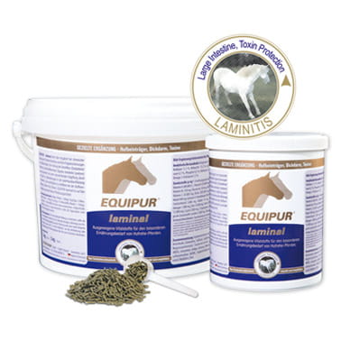 Komposing-Equipur-laminal-2019.jpg
