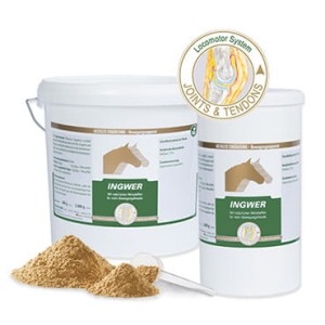 EQUIPUR Ingwer 2kg imbir, mocne stawy i chrząstki