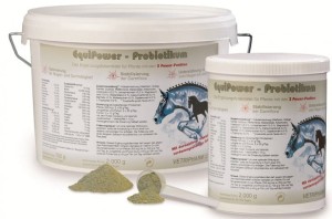 EQUI POWER Probiotikum 2kg probiotyk, uregulowane trawienie