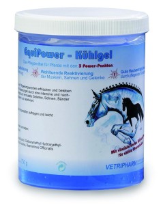 EQUI POWER Kuhlgel 750g żel chłodzący