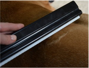 Groomer Black - szczotka dla koni  - wysyłka 48h