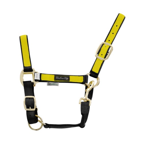 Kantar COLORED PARTS  