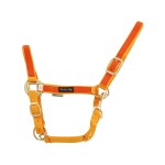 Kantar COLORED PARTS 