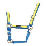 Kantar COLORED PARTS 