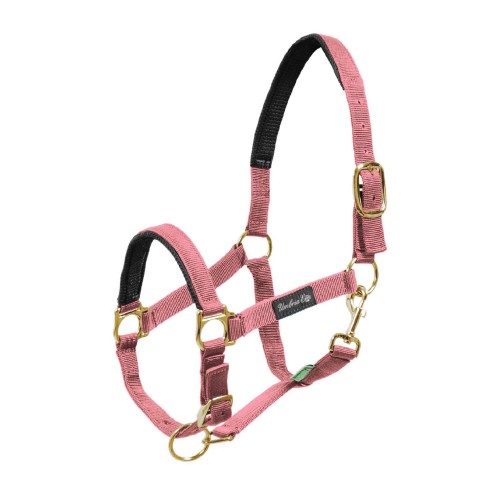 Kantar REINFORCEMENT 