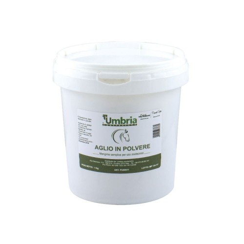 AMA GARLIC POWDER 1kg - czosnek w proszku