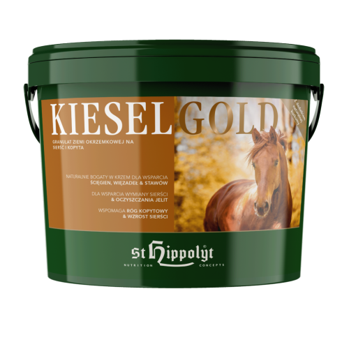 Kieselgold-1024x1024.png