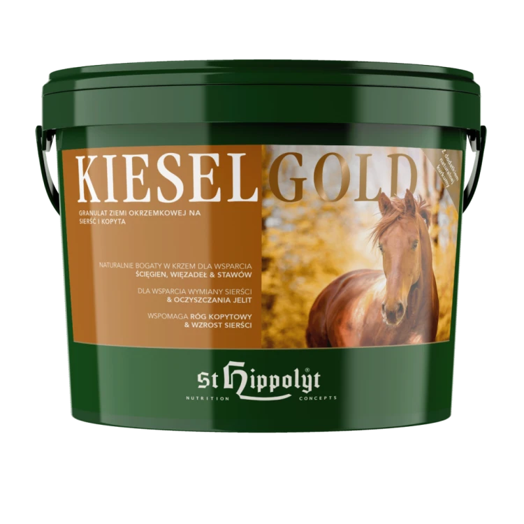 Kieselgold-1024x1024.png