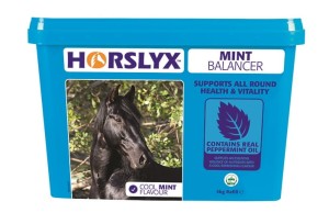 "Horslyx Mint" 650g