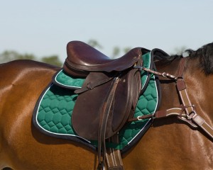 Czaprak QHP Q-Cross "Eldorado"  