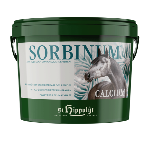 ST HIPPOLYT Calcium Sorbinum 10kg wapno i witamina C dla koni