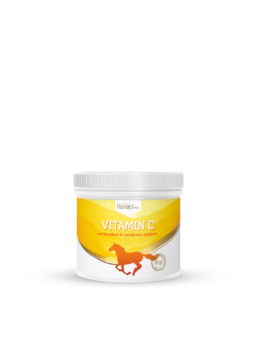 Vitamin C 600g - WYSYŁKA 48H