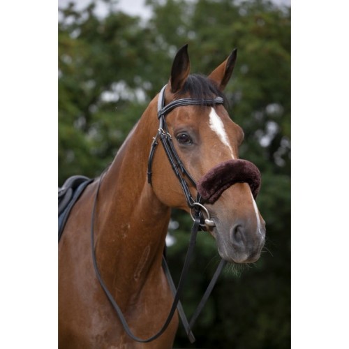 Futerko na nachrapnik EQUITHÈME "TEDDY"   