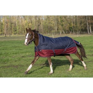 Derka EQUITHÈME "TYREX 1200 D" 300g