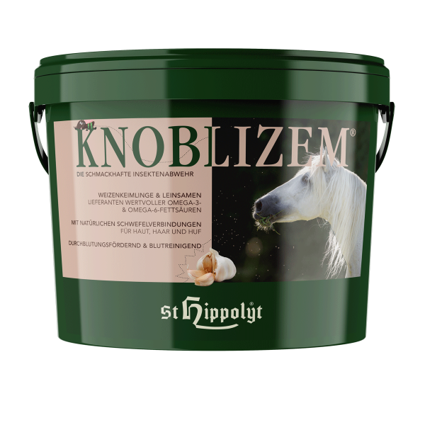 Knoblizem.png