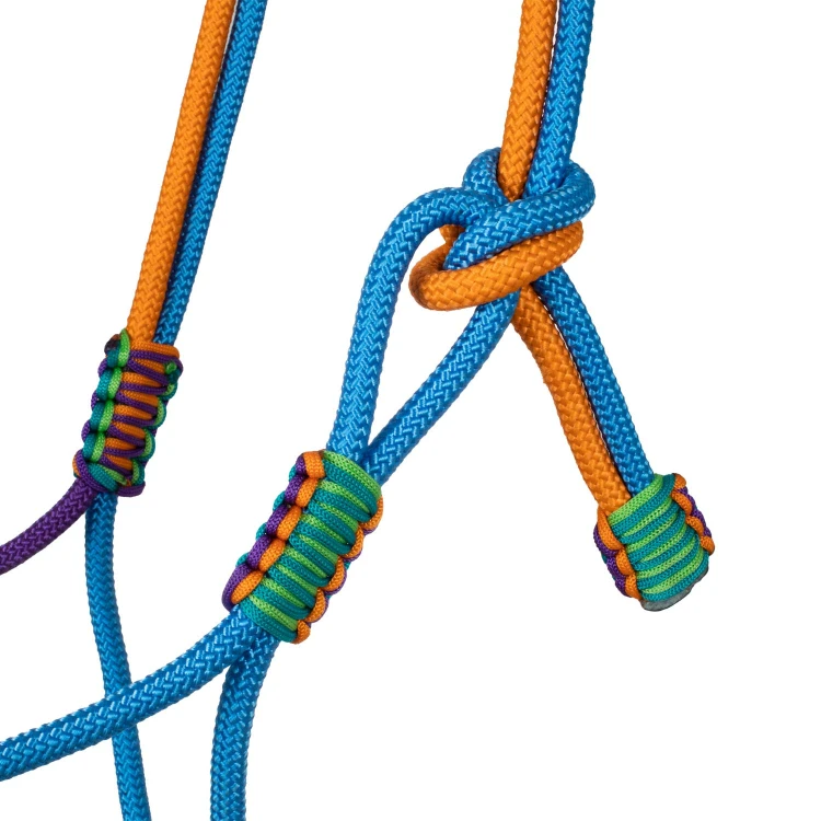 PLH03003_RB-2.jpg