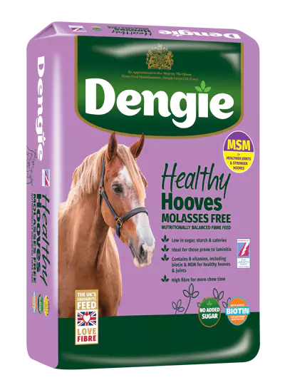 dengie-healthy-hooves-molasses-free-z-msm-20kg.webp