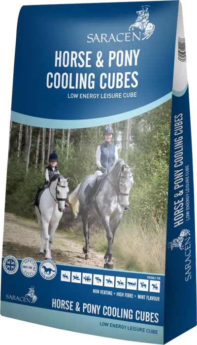 saracen-horse-amp-ponny-cooling-cubes-20kg.webp