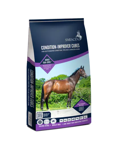saracen-condition-improver-cubes-20kg.webp
