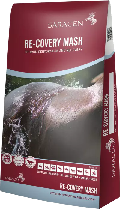saracen-re-covery-mash-20kg.webp
