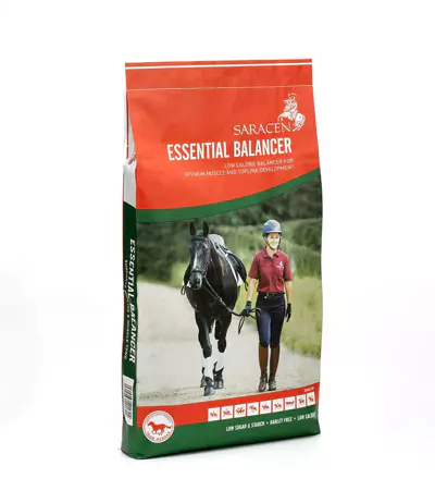 saracen-essential-balancer-20kg.webp