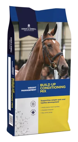 dodson-amp-horrell-build-up-mix-20kg.webp